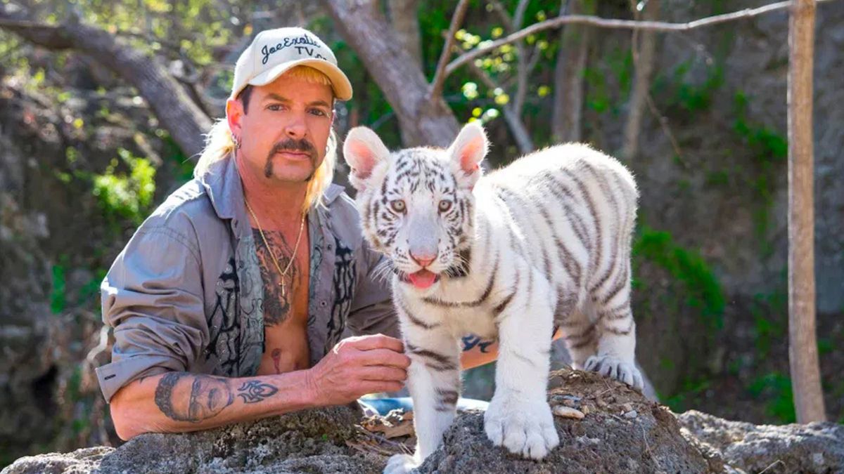 [Series] Rey Tigre: La pequeña tienda del horror