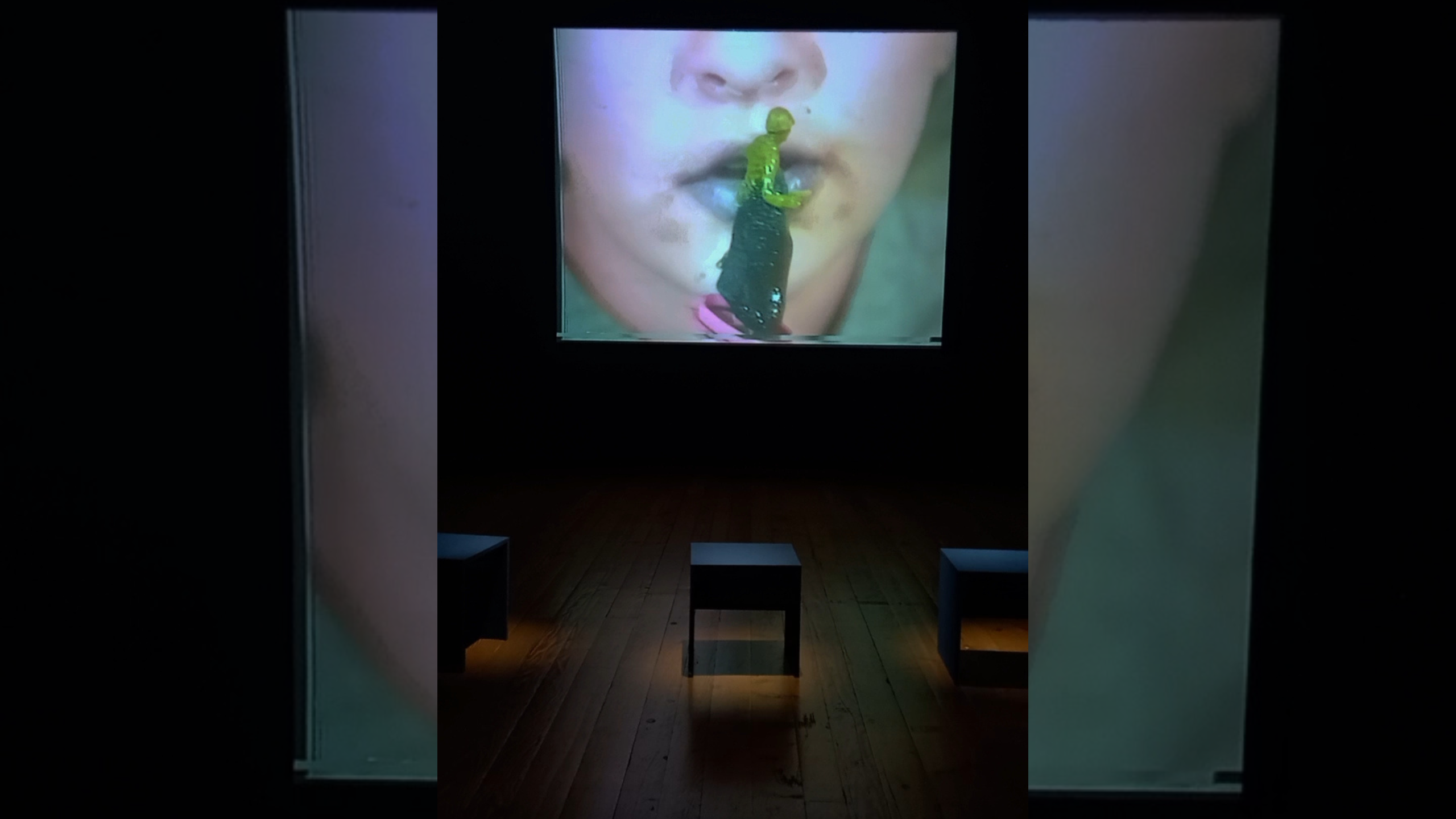 El espacio ganado de la videoartista Gloria Camiruaga