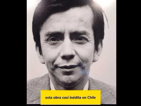 Estudios sobre la felicidad: la obra que consagró a Alfredo Jaar