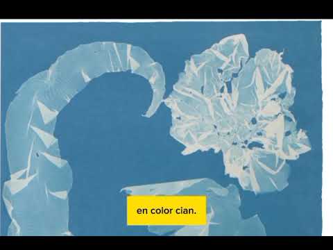 El legado de arte y ciencia de Anna Atkins
